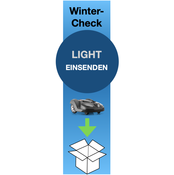 Winter-Check Light (Einsenden / Abgabe & Abholung Büchen)